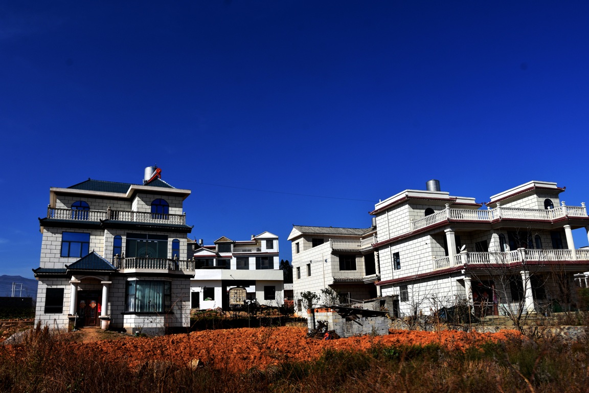 新时代昭通印象树文明之风昭阳区人居环境大变样美丽乡村入画来