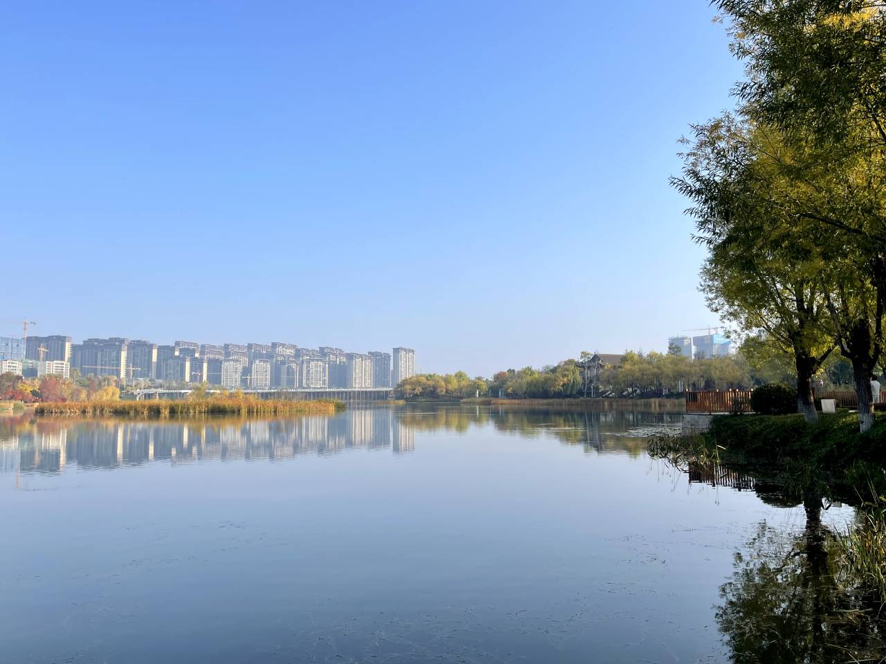 省耕国学文化公园冬日美景惹人醉