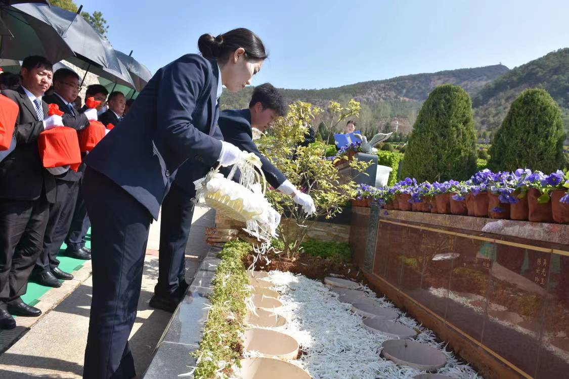 昭阳区深化绿色殡葬改革实行节地生态安葬