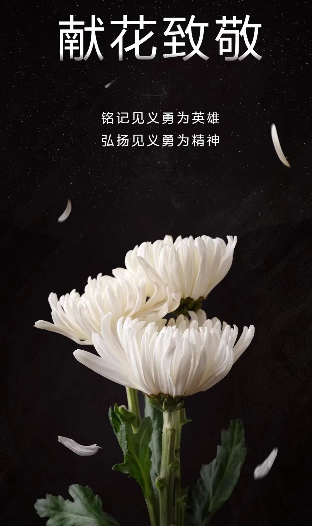 缅怀英烈传承精神云南清明祭见义勇为英烈之2021年度表彰英烈